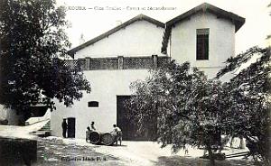 Kouba - Clos Grellet - Caves et Dependances